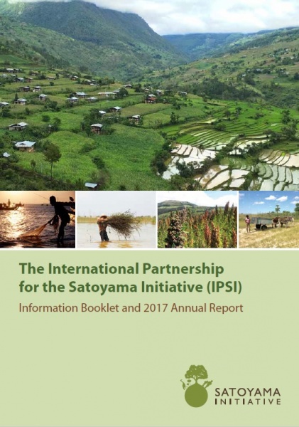 2017 FY Annual Report cover