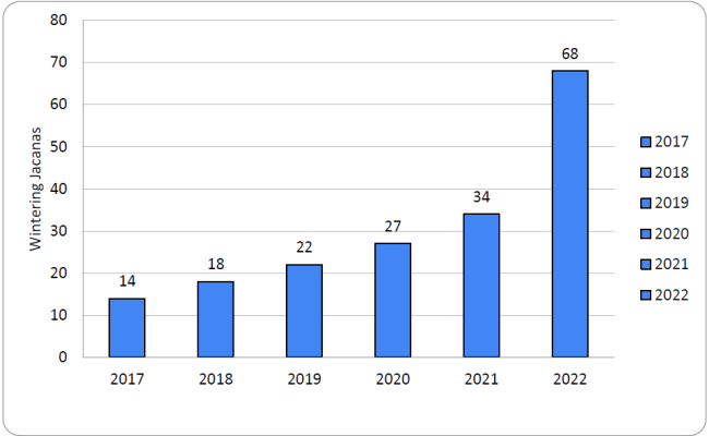 Chart.1