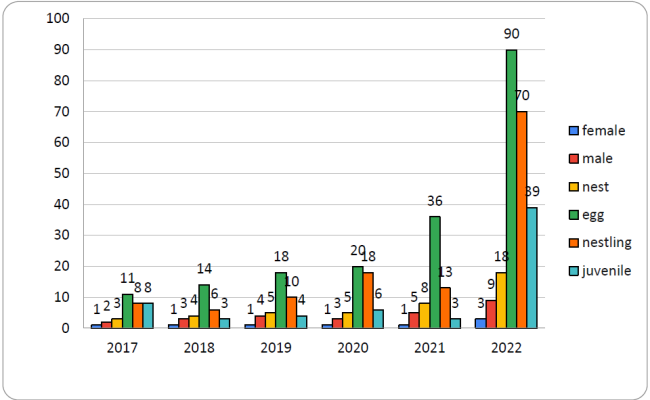 Chart.2