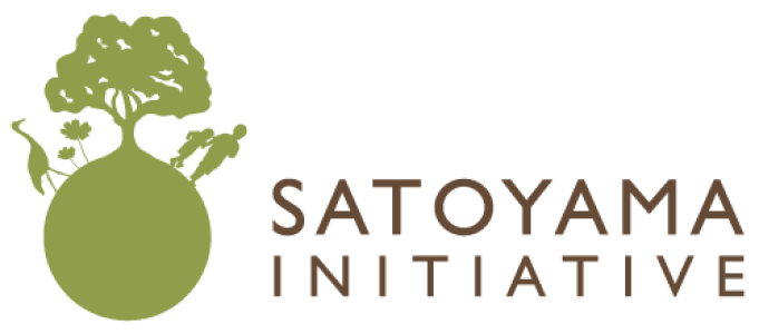 IPSI Logo Rectangle Trps Bckg