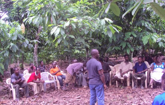 Training on biodiversity conservation