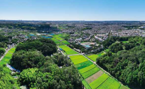 Yokohama retains extensive woodlands and farmlands. Photo by City of Yokohama.