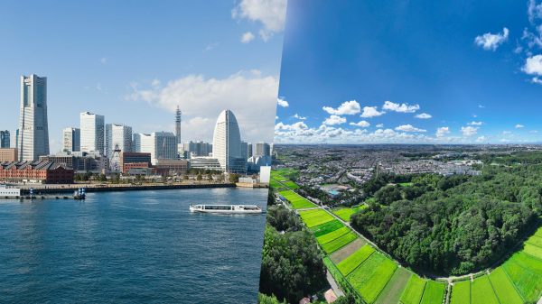Photo: Yokohama City Visitors Bureau